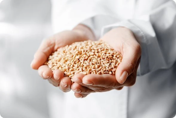 Продукция агропромышленного комплекса