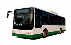 6105 CNG